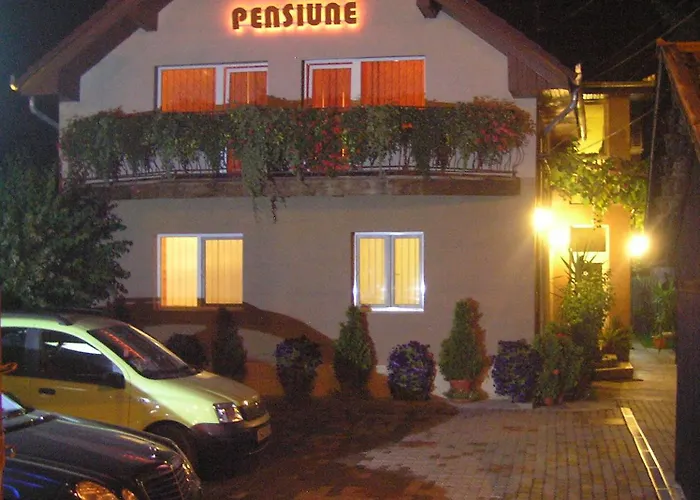 Pensiunea Miorita Arad