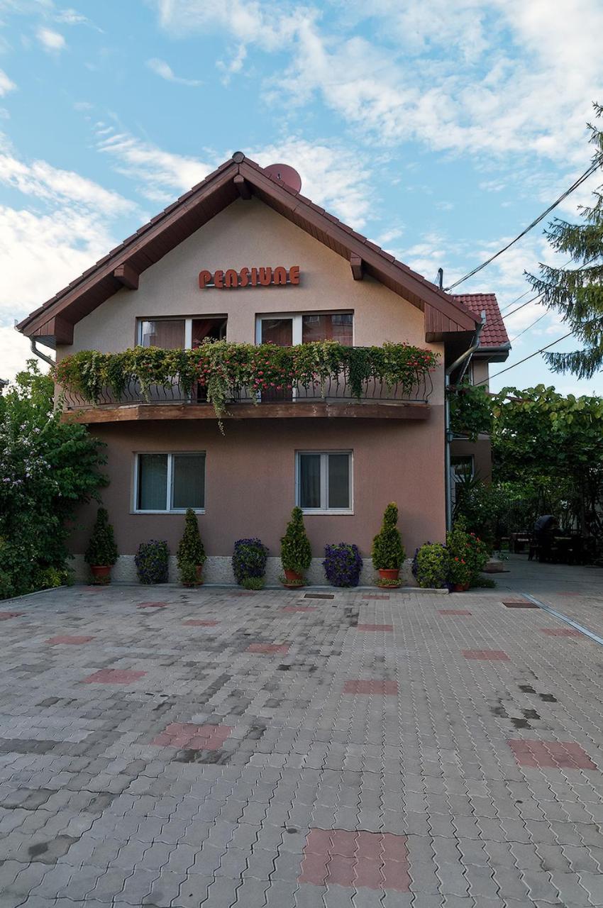 Pensiunea Miorita Arad